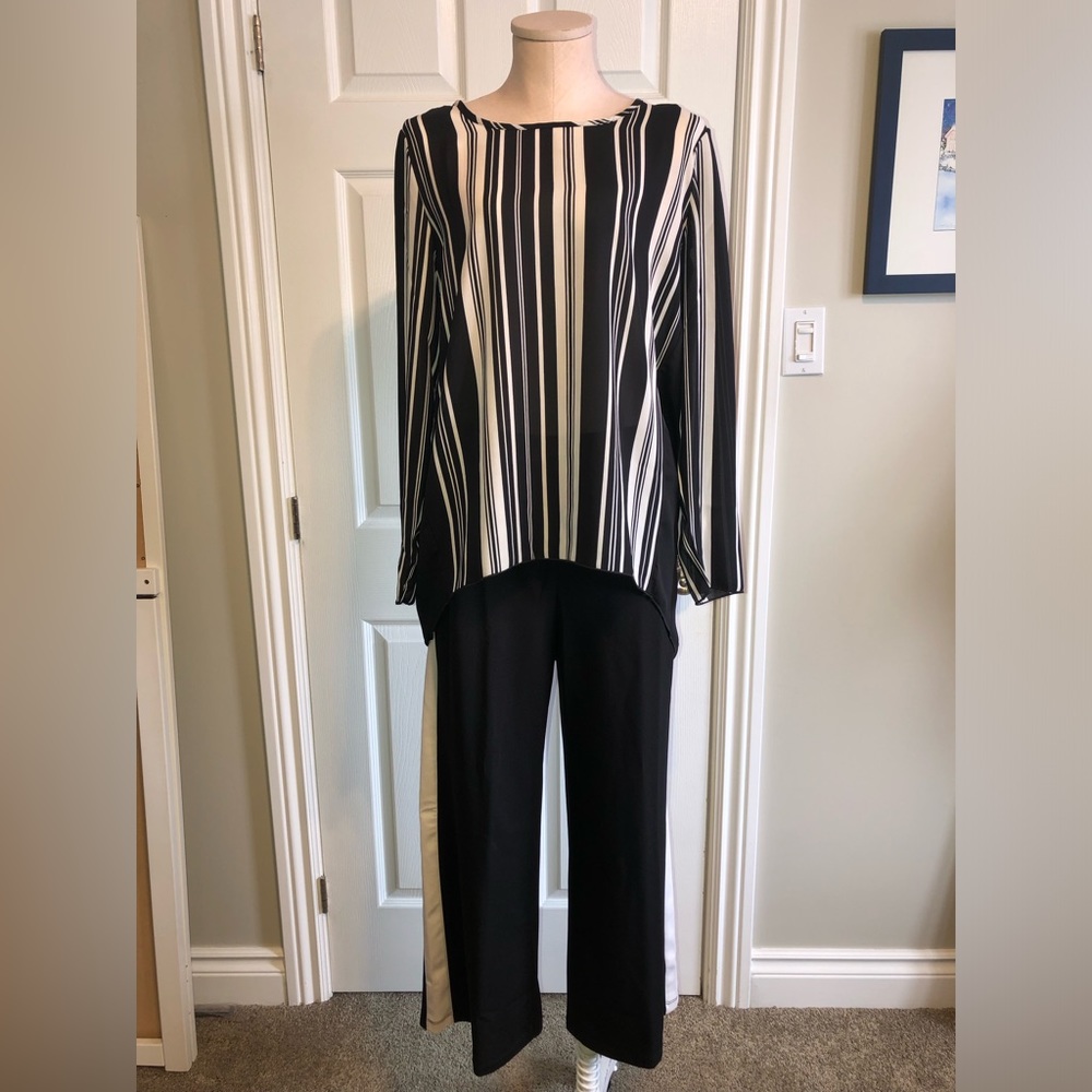Artizan by Robin Barré 2 piece set top and pants